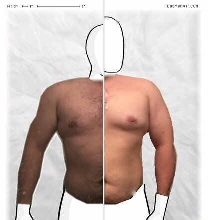 Torso Comparison