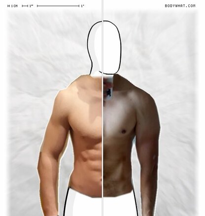 Torso Comparison