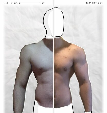 Torso Comparison