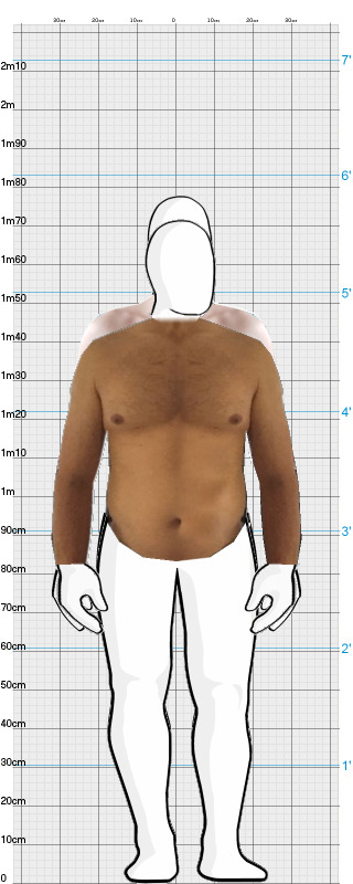 Full Size Comparison