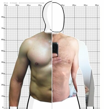 Torso Comparison