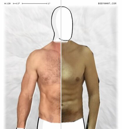 Torso Comparison