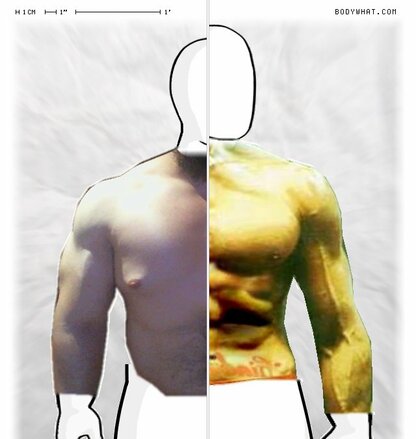 Torso Comparison