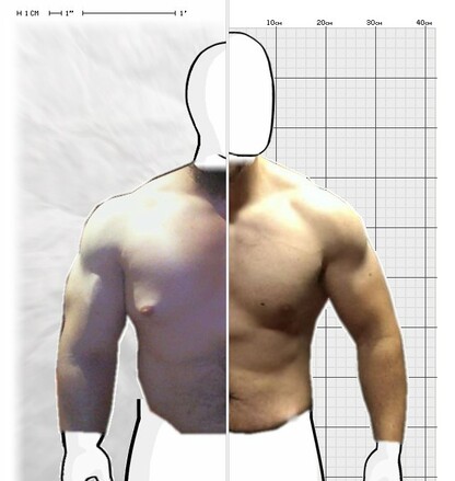 Torso Comparison