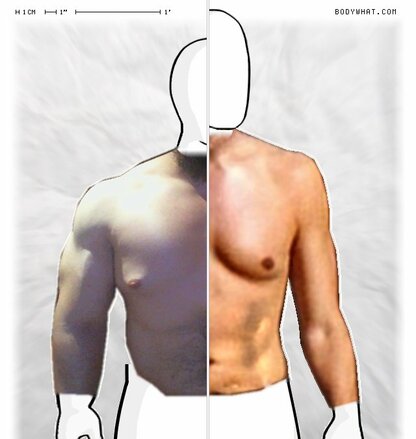 Torso Comparison