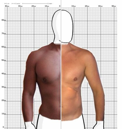 Torso Comparison