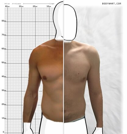 Torso Comparison