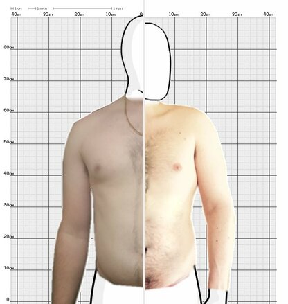 Torso Comparison