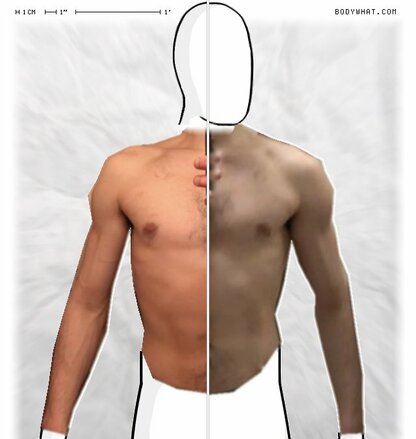 Torso Comparison