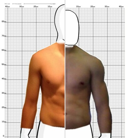 Torso Comparison