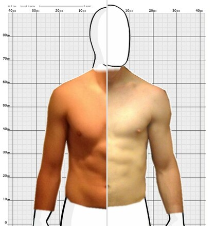 Torso Comparison