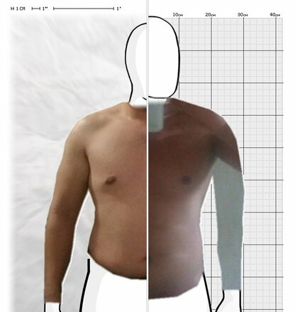 Torso Comparison