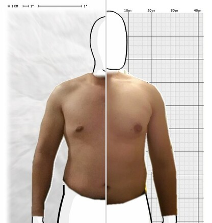 Torso Comparison