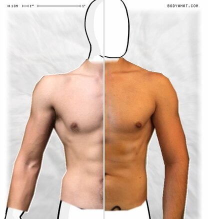 Torso Comparison