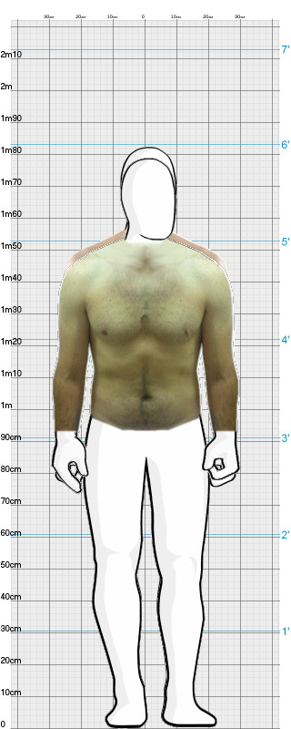 Full Size Comparison