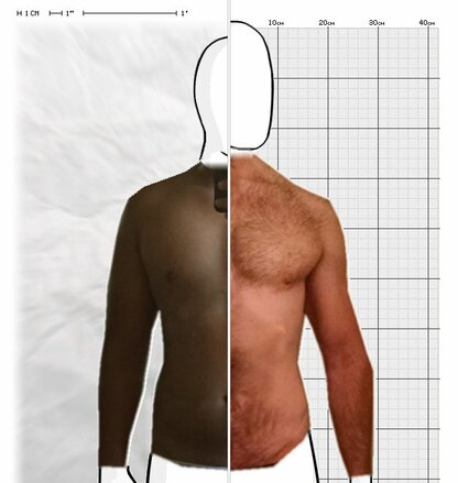 Torso Comparison