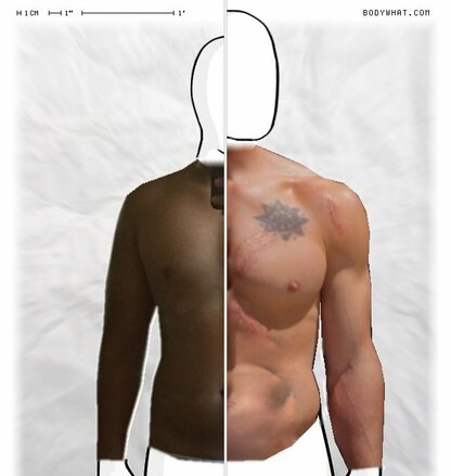 Torso Comparison