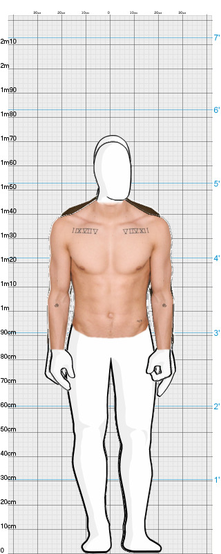 Full Size Comparison