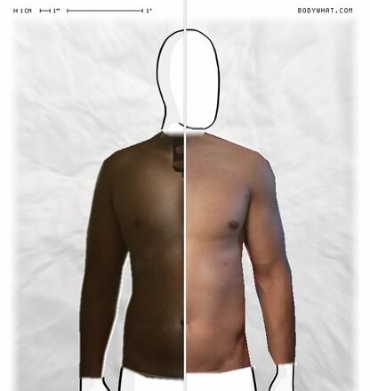 Torso Comparison