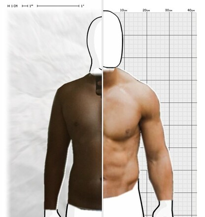 Torso Comparison