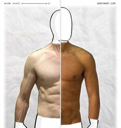 Torso Comparison