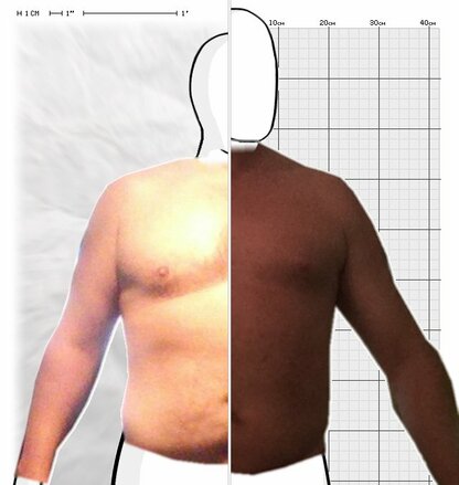 Torso Comparison