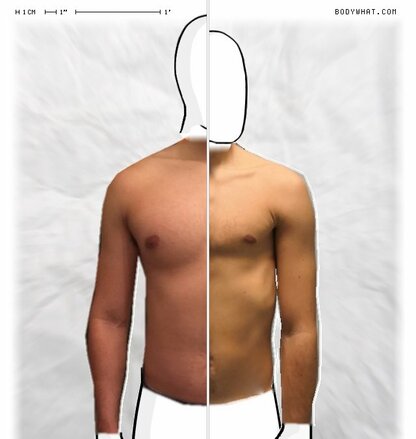 Torso Comparison