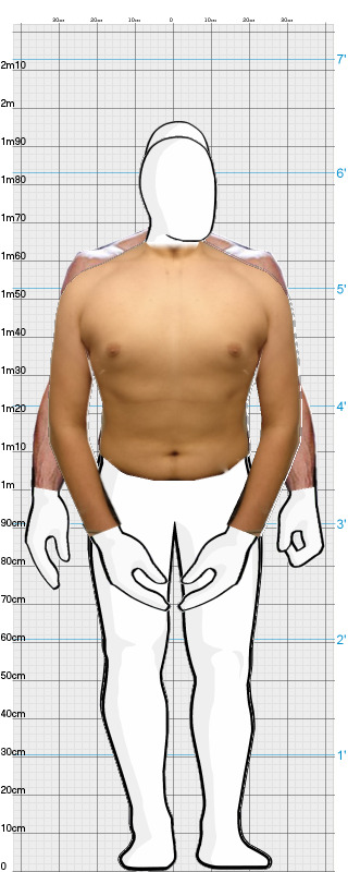 Full Size Comparison