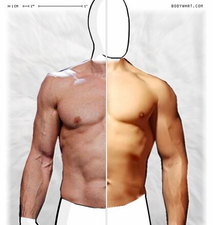 Torso Comparison