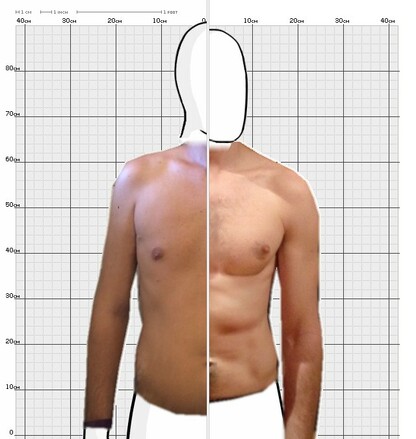 Torso Comparison