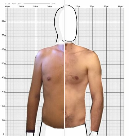 Torso Comparison