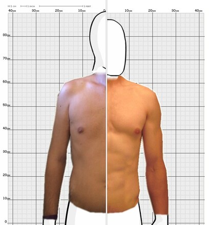 Torso Comparison