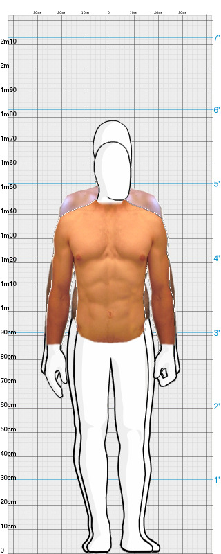 Full Size Comparison