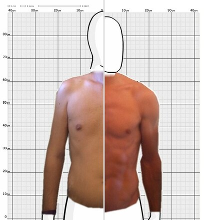 Torso Comparison