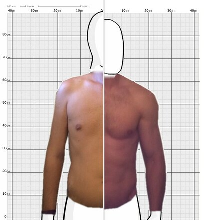 Torso Comparison