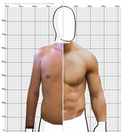 Torso Comparison