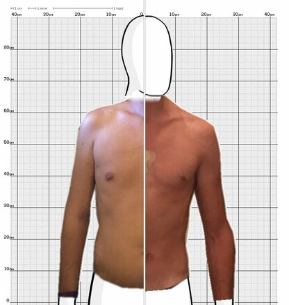 Torso Comparison