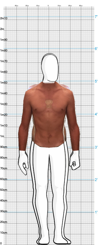 Full Size Comparison