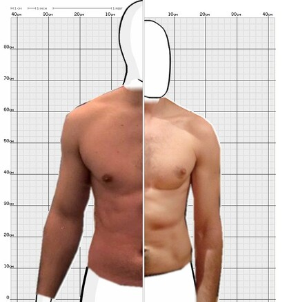 Torso Comparison