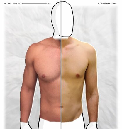 Torso Comparison