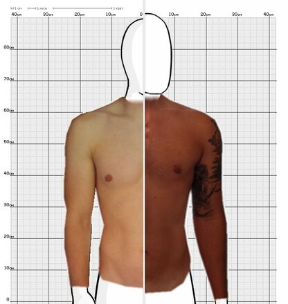 Torso Comparison