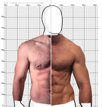 Torso Comparison