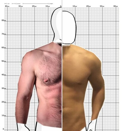 Torso Comparison