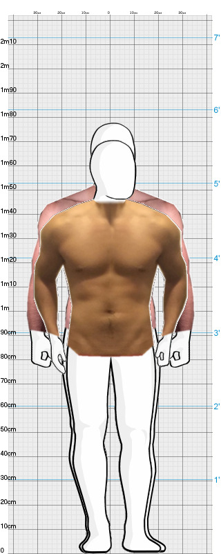 Full Size Comparison