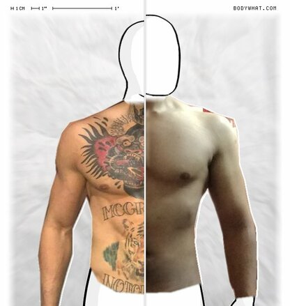 Torso Comparison