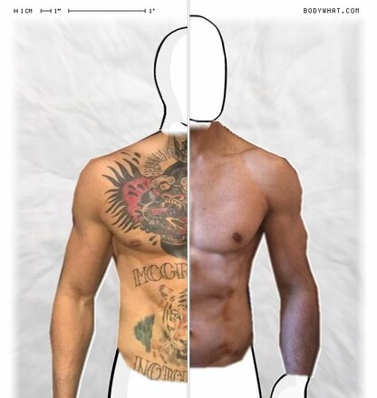 Torso Comparison