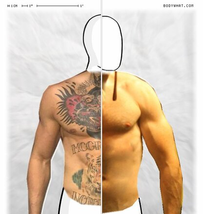 Torso Comparison