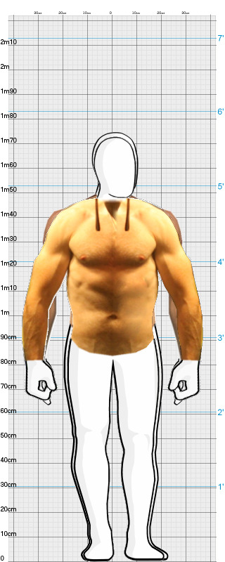 Full Size Comparison