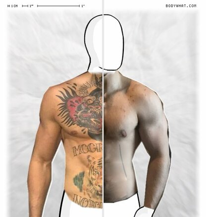 Torso Comparison