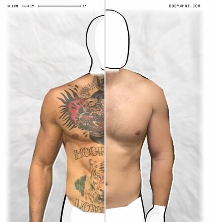 Torso Comparison